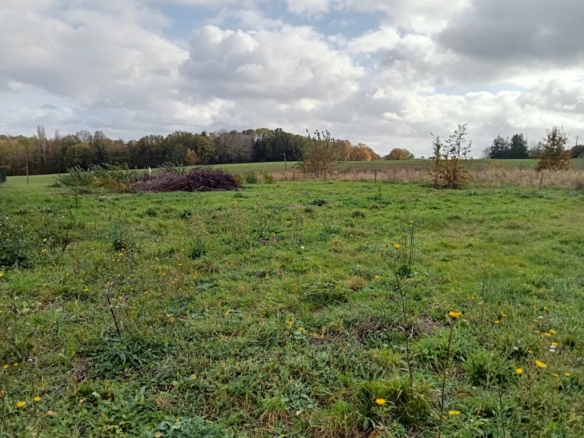 Terrain de 979m² à vendre à Montmirail (51)
