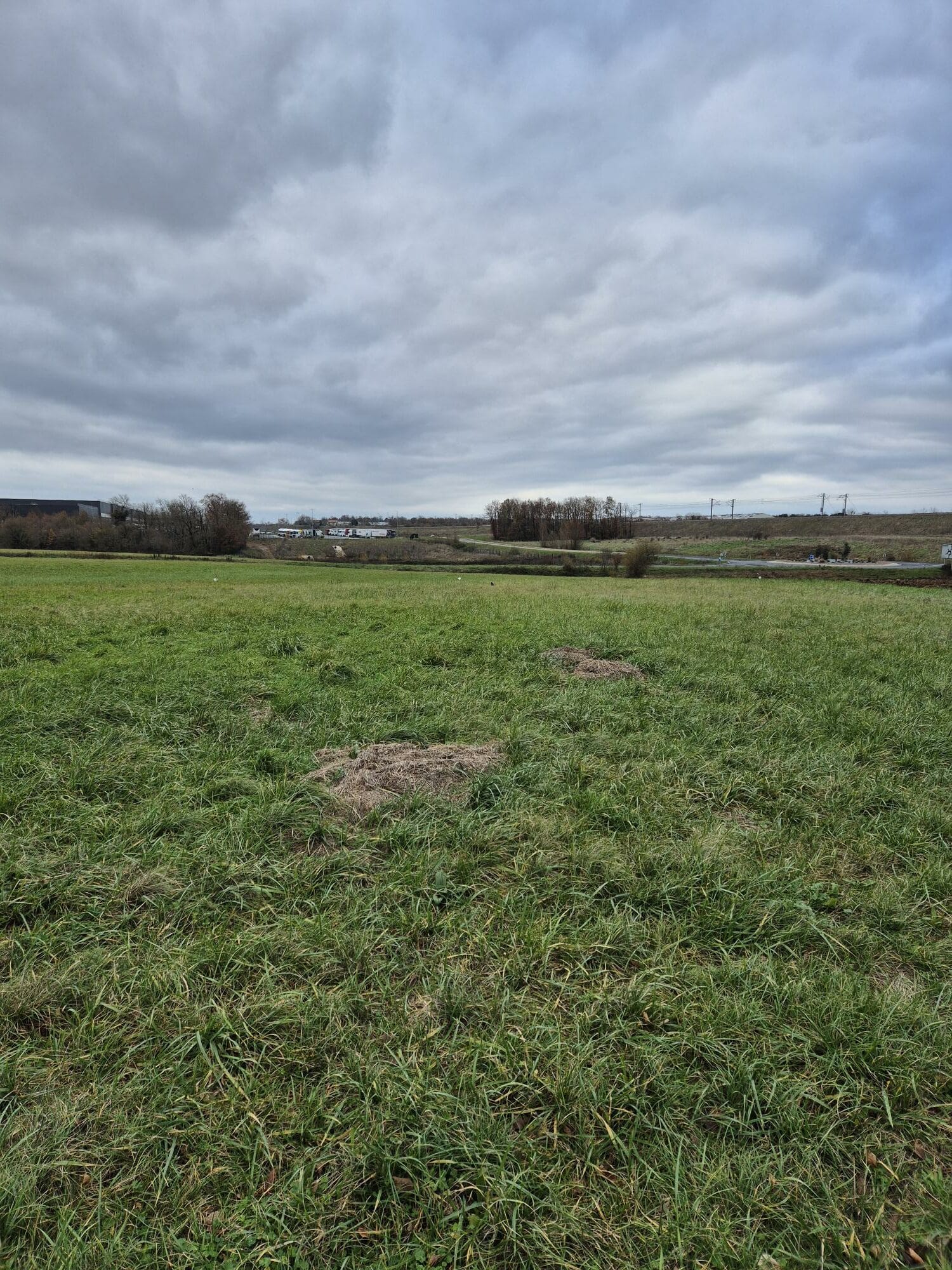 Terrain de 825m² à vendre à Neuville-sur-Vanne (10)