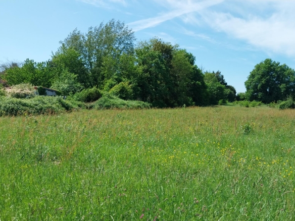 Terrain de 3 350m² à vendre à Saint-Médard-de-Mussidan (24)
