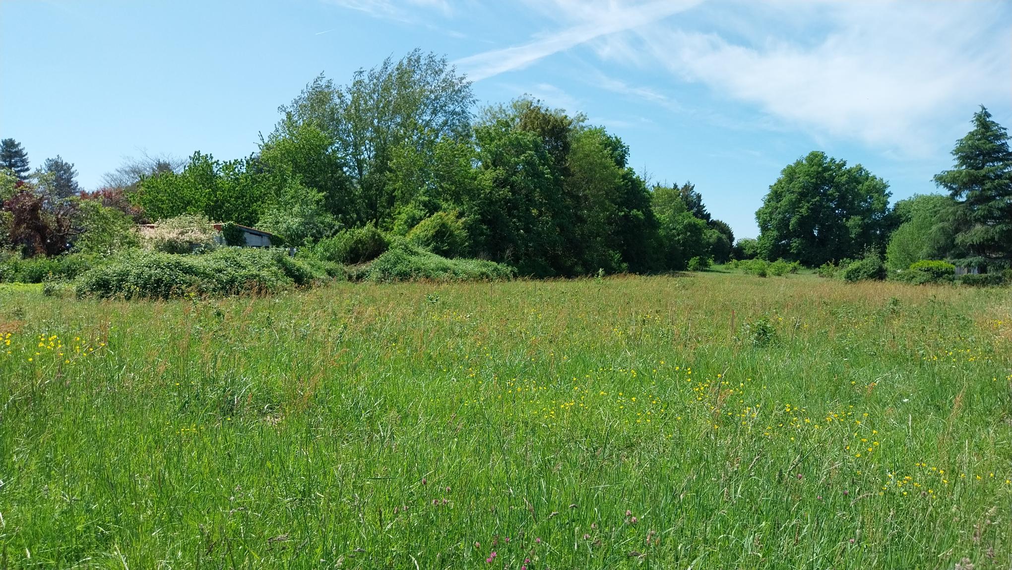 Terrain de 3 350m² à vendre à Saint-Médard-de-Mussidan (24)