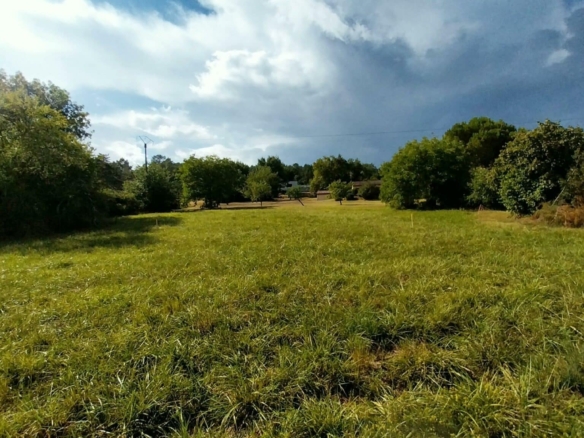 Terrain de 2 300m² à vendre à Château-l’Évêque (24)