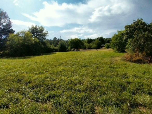 Terrain de 2 000m² à vendre à Château-l’Évêque (24)