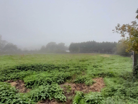 Terrain de 1 200m² à vendre à Saint-Christophe-en-Bresse (71)