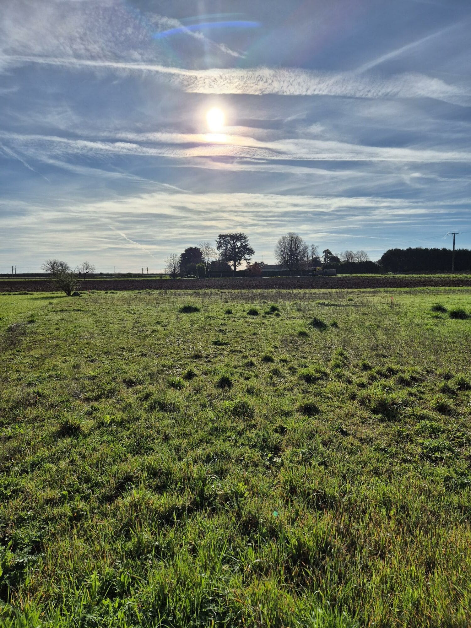 Terrain de 513m² à vendre à Sainte-Savine (10)