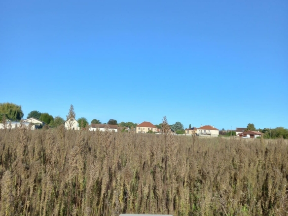 Terrain de 655m² à vendre à Saint-Marcel (71)
