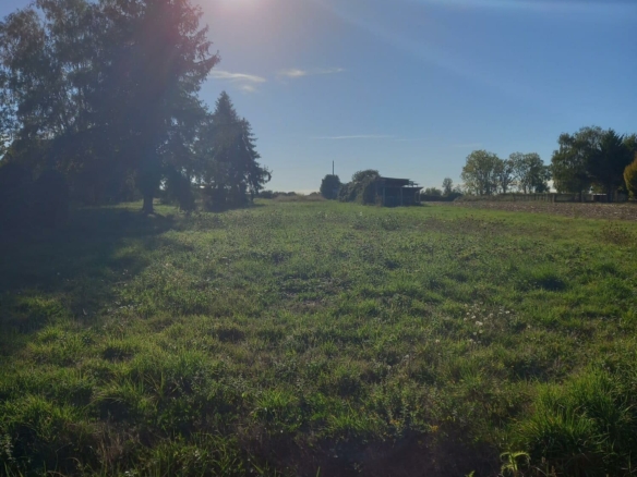 Terrain de 1 000m² à vendre à Allériot (71)