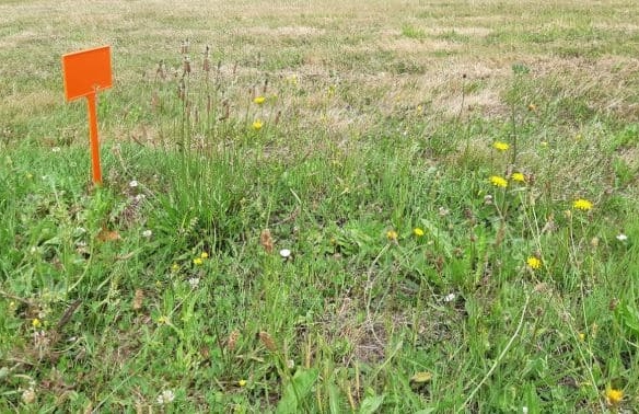 Terrain de 976m² à vendre à Saint-Brevin-les-Pins (44)
