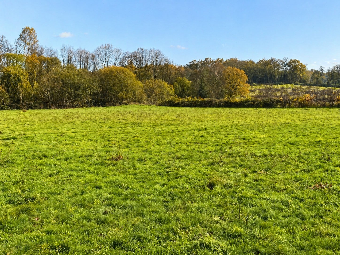 Terrain de 2 100m² à vendre à Nontron (24)