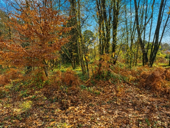 Terrain de 1 000m² à vendre à Chancelade (24)