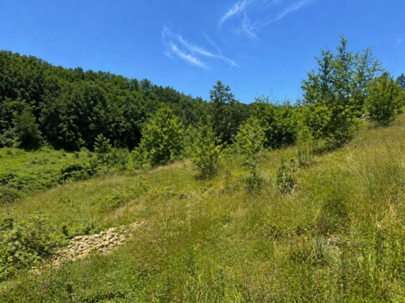 Terrain de 1 600m² à vendre à Trélissac (24)