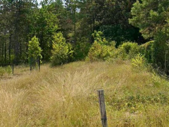 Terrain de 1 794m² à vendre à Bassillac (24)