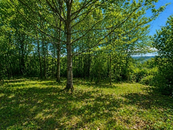 Terrain de 1 700m² à vendre à Agonac (24)