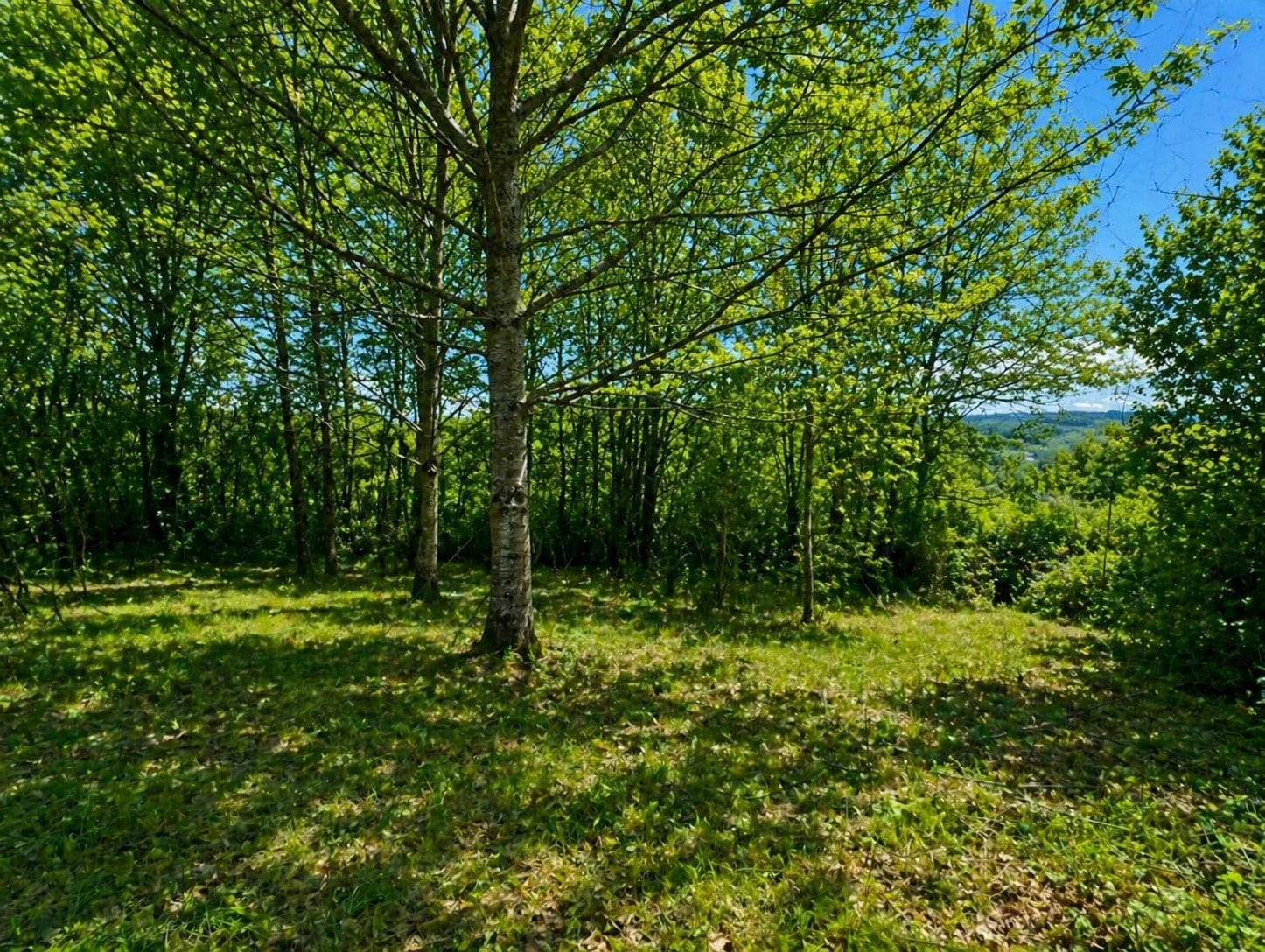 Terrain de 1 700m² à vendre à Agonac (24)