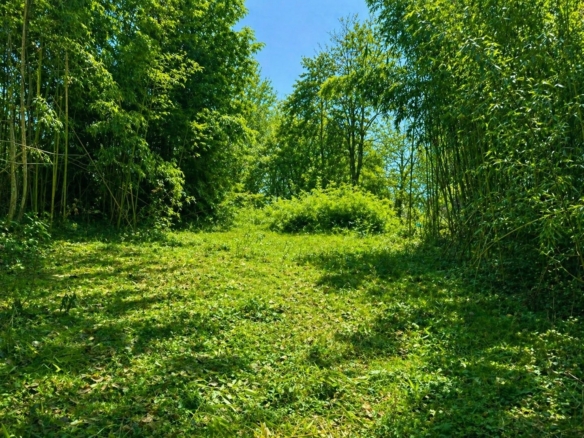 Terrain de 1 400m² à vendre à Boulazac (24)