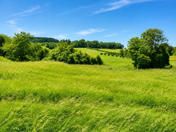 Terrain de 3 500m² à vendre à Léguillac-de-l’Auche (24)