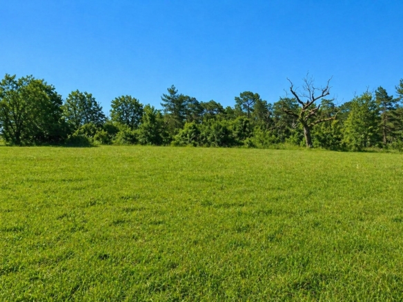 Terrain de 1 500m² à vendre à Notre-Dame-de-Sanilhac (24)