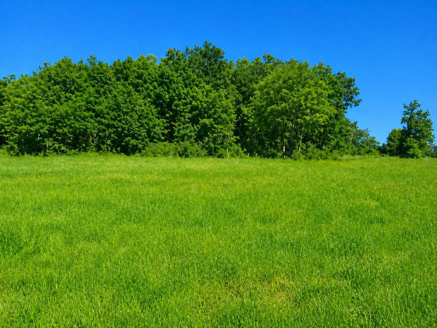 Terrain de 1 428m² à vendre à Celles (24)