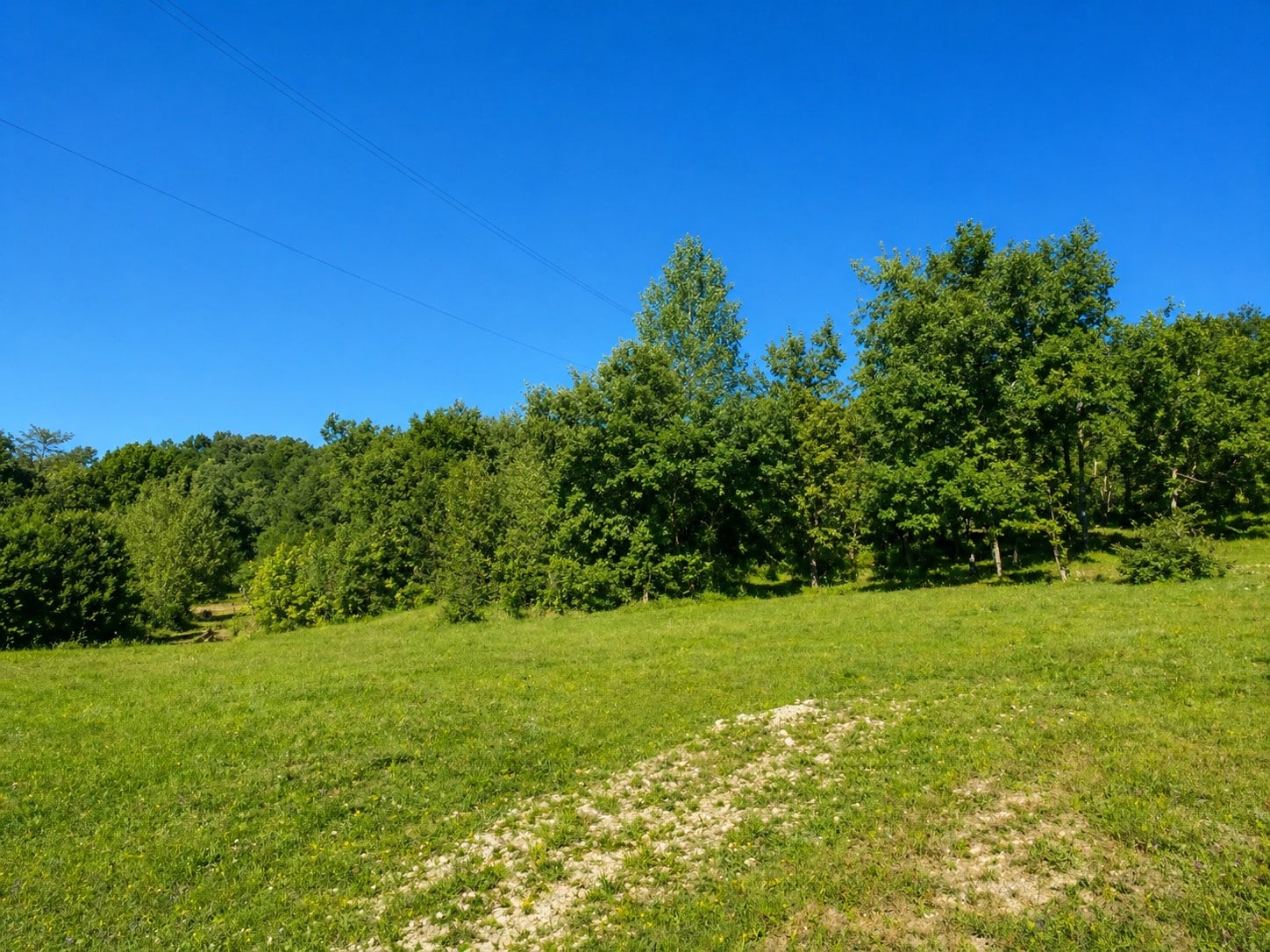 Terrain de 1 837m² à vendre à Celles (24)