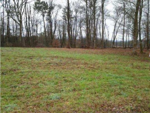 Terrain de 2 000m² à vendre à Prats-de-Carlux (24)