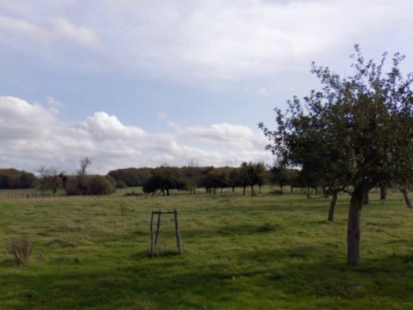 Terrain de 1 000m² à vendre à Briel-sur-Barse (10)