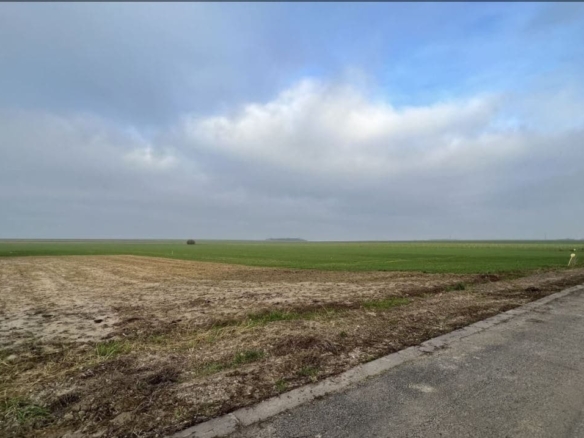 Terrain de 1 000m² à vendre à Marolles-sous-Lignières (10)