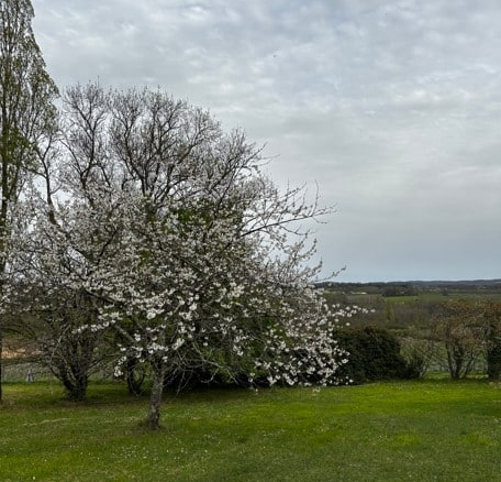 Terrain de 1 940m² à vendre à Pomport (24)