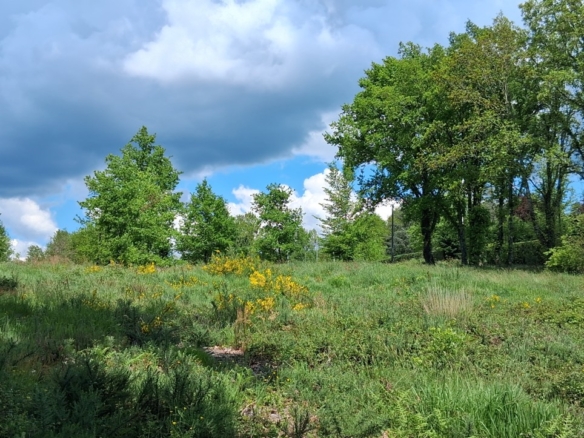 Terrain de 1 545m² à vendre à Maurens (24)