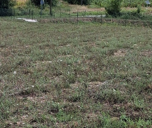Terrain de 998m² à vendre à Monestier (24)