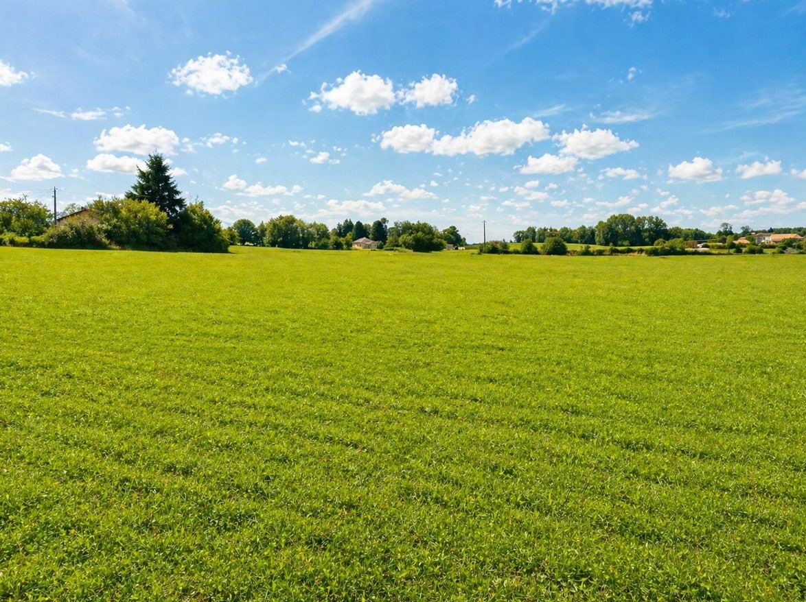 Terrain de 1 500m² à vendre à Saint-Saud-Lacoussière (24)
