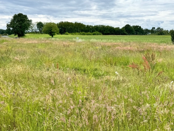Terrain de 4 000m² à vendre à Saint-Antoine-Cumond (24)