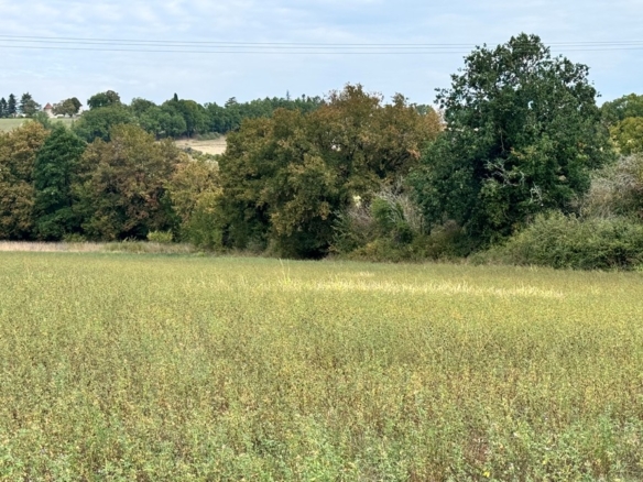 Terrain de 875m² à vendre à Léguillac-de-l’Auche (24)