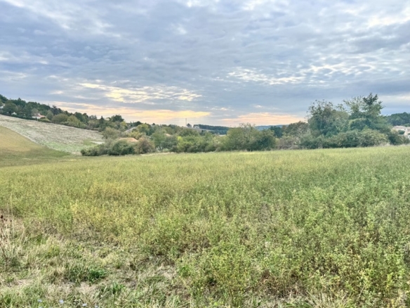 Terrain de 1 300m² à vendre à Léguillac-de-l’Auche (24)
