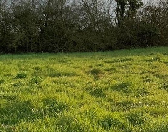 Terrain de 900m² à vendre à Saint-Brevin-les-Pins (44)
