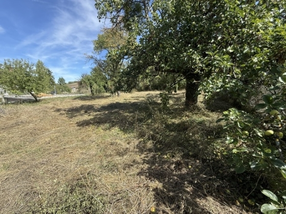 Terrain de 547m² à vendre à Branches (89)