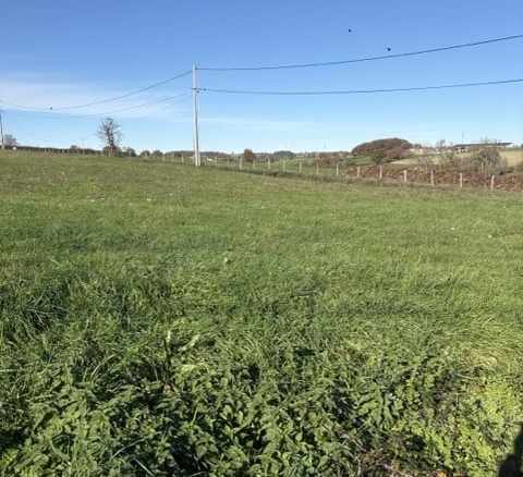 Terrain de 1 076m² à vendre à Curdin (71)