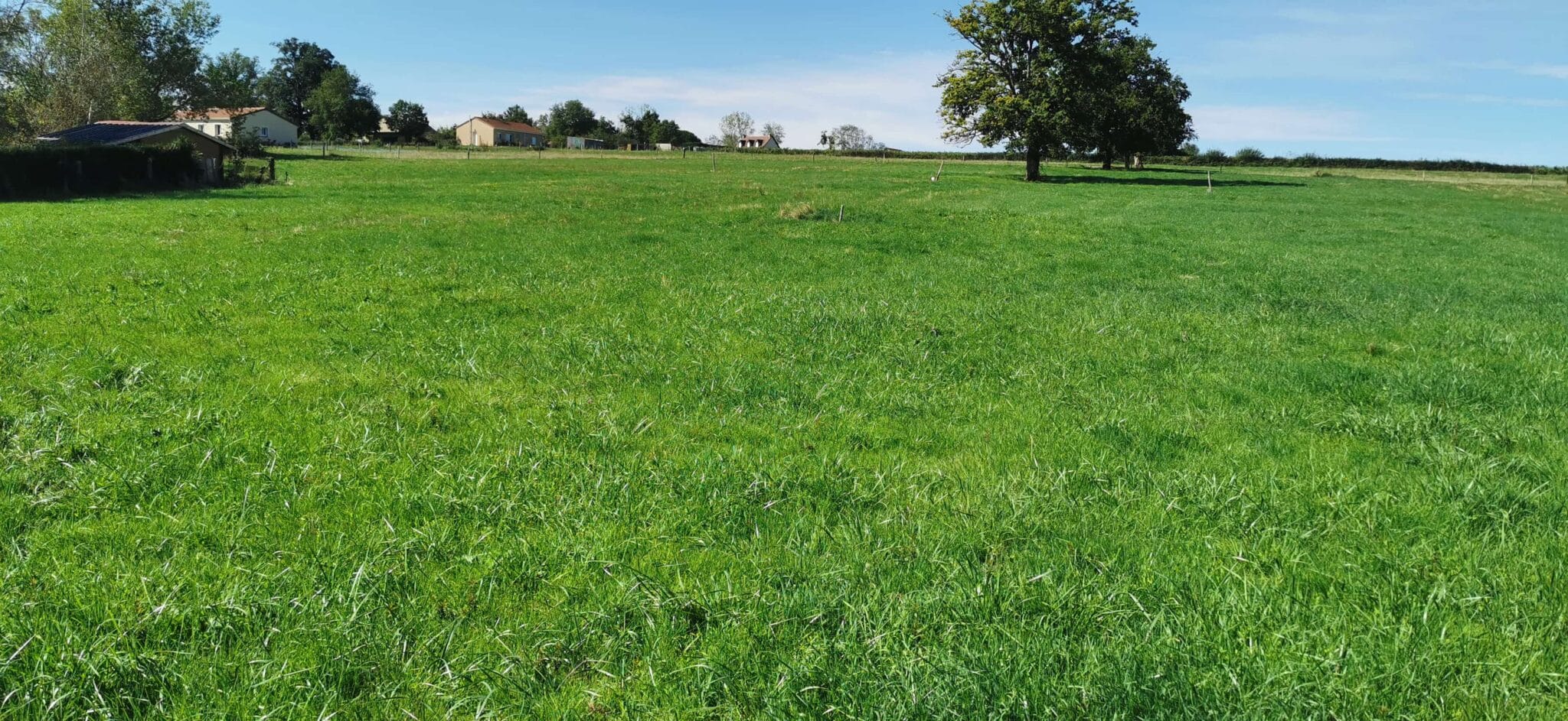 Maison + Terrain de 2 561 m2  à Meillard