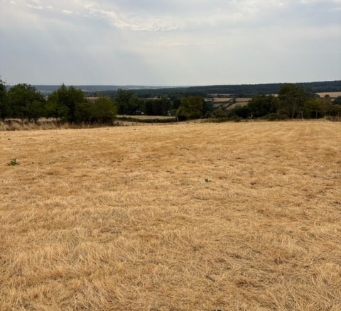 Terrain de 2 300m² à vendre à Gueugnon (71)