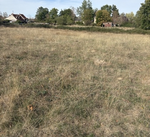 Terrain de 1 177m² à vendre à Paray-le-Monial (71)