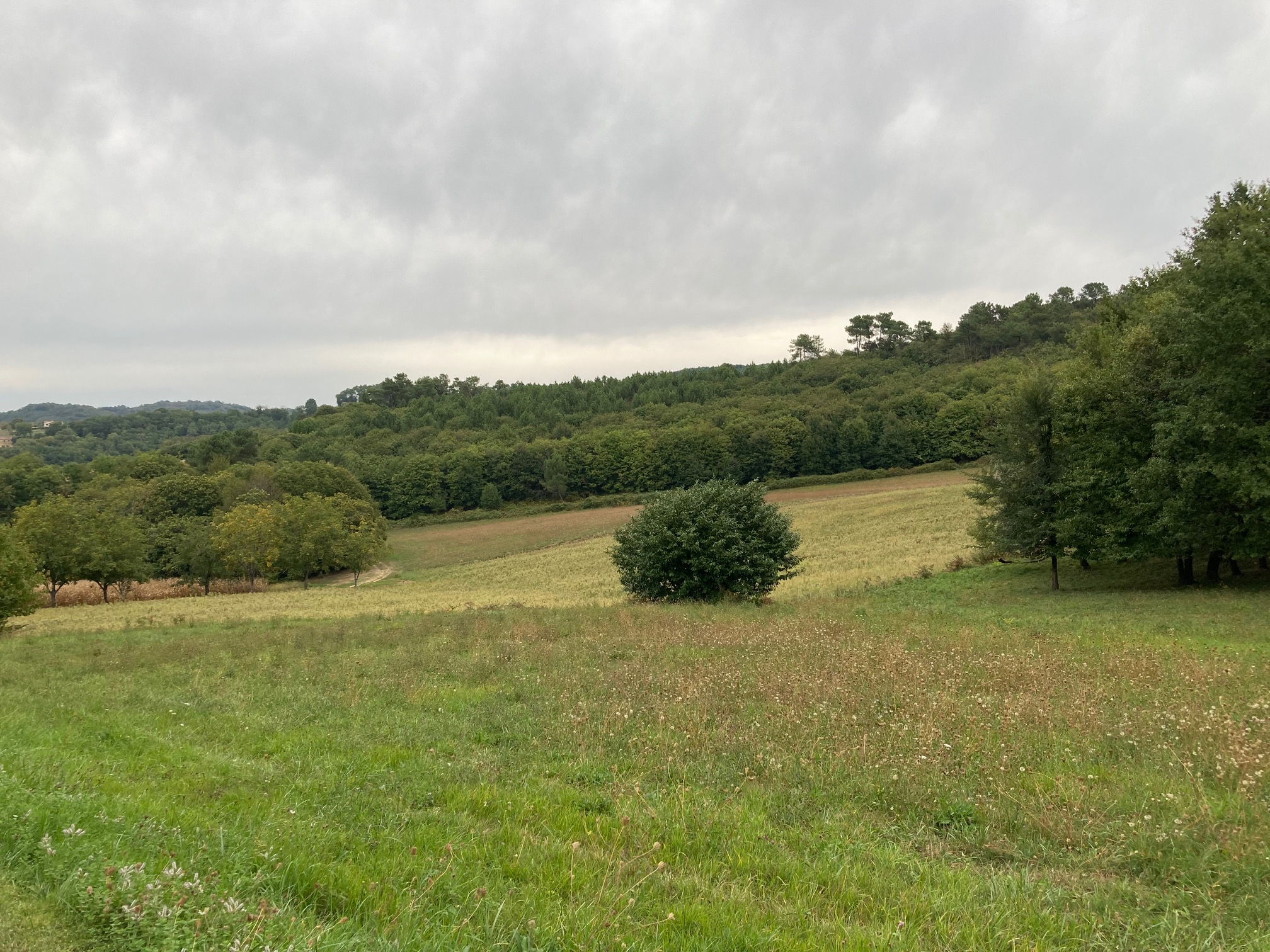 Maison + Terrain de 1 399 m2  à Saint-André-d’Allas