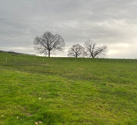Terrain de 1 089m² à vendre à Gueugnon (71)