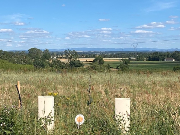 Terrain de 1 092m² à vendre à Saint-Pourçain-sur-Sioule (03)