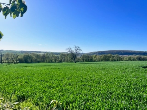 Terrain de 850m² à vendre à Montigny-aux-Amognes (58)