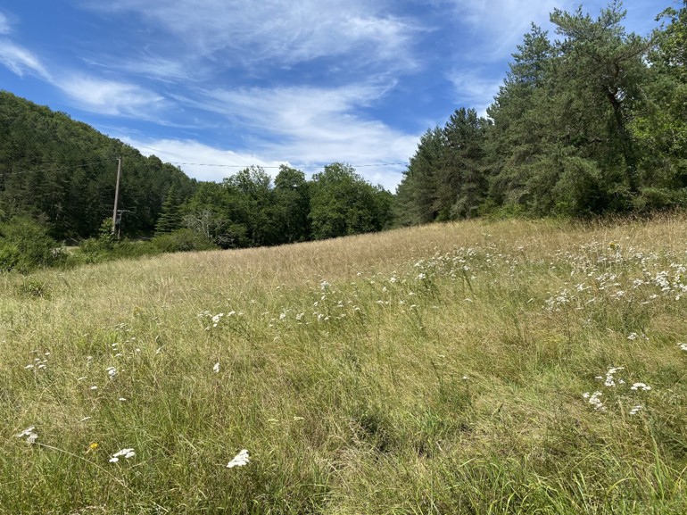 Maison + Terrain de 1 813 m2  à Castels