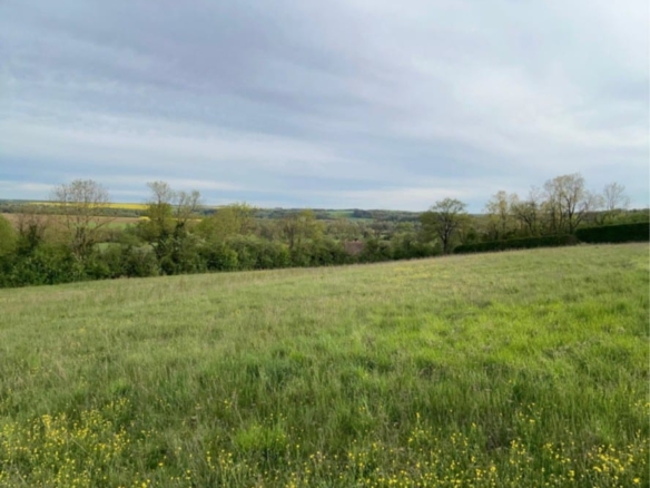Terrain de 3 235m² à vendre à Lézinnes (89)