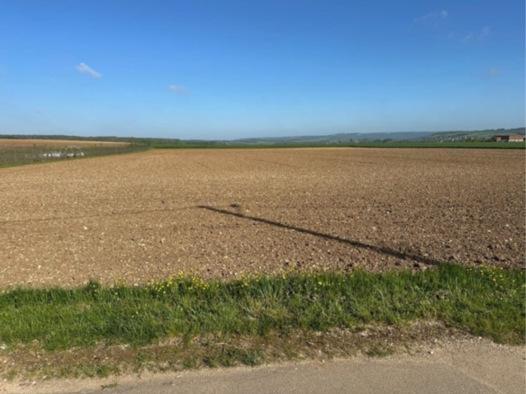 Terrain de 2 390m² à vendre à Lézinnes (89)