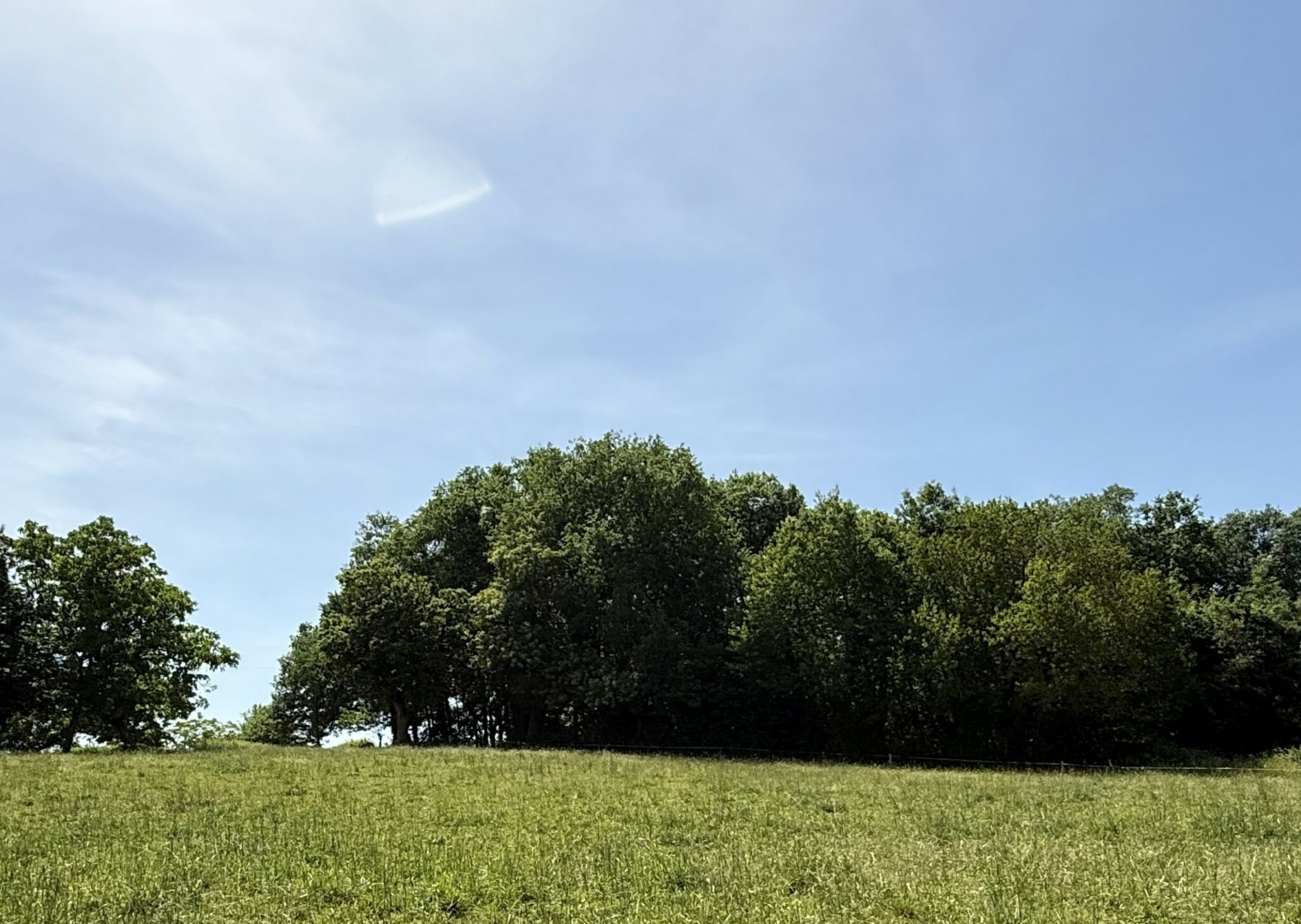 Maison + Terrain de 1 595 m2  à Meyrals