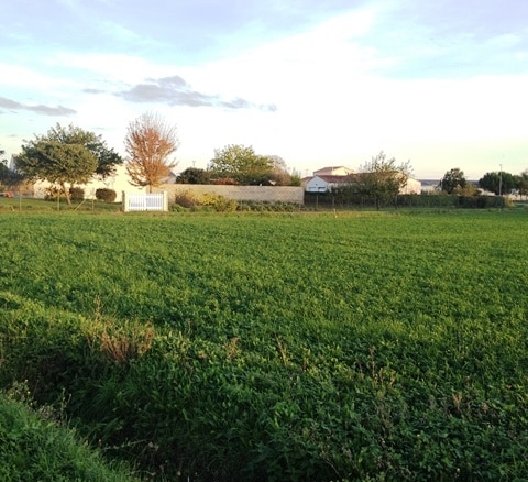 Terrain de 1 530m² à vendre à Maillé (85)