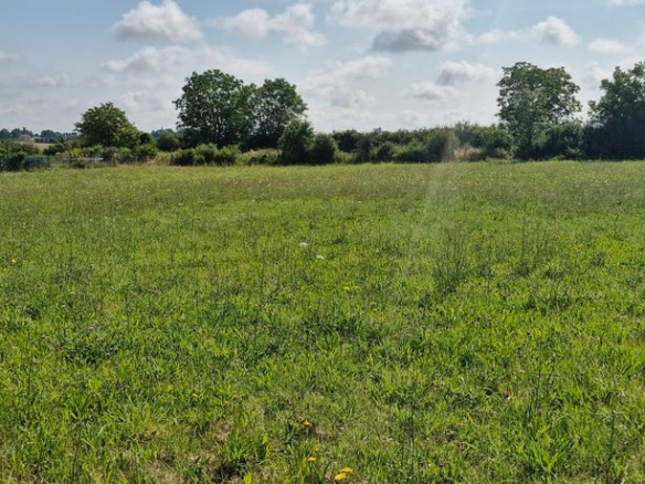 Terrain de 833m² à vendre à Souligny (10)