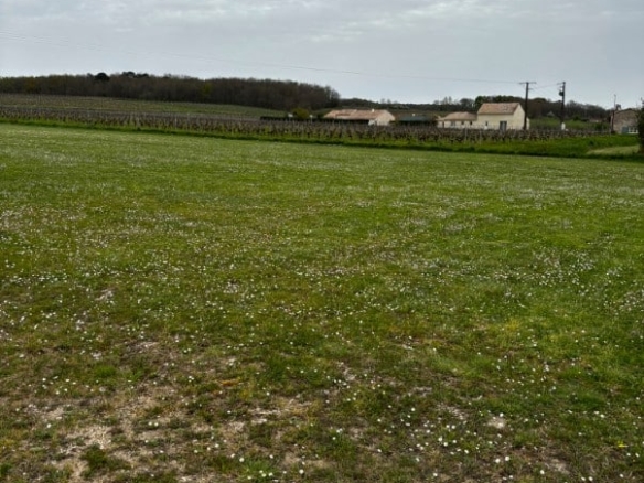 Terrain de 1 150m² à vendre à Monestier (24)
