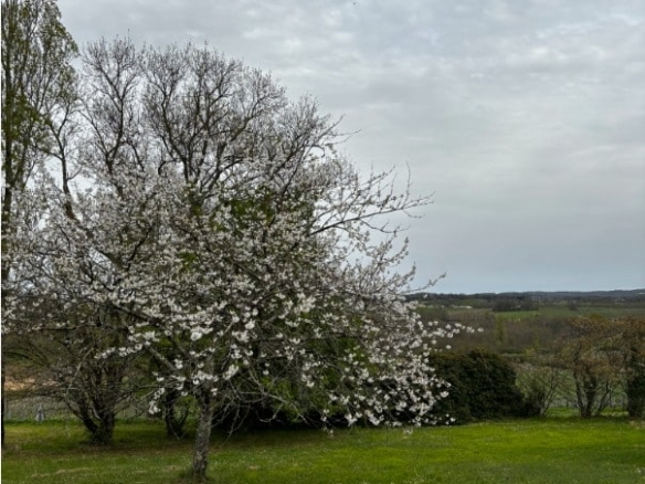 Terrain de 4 232m² à vendre à Prats-de-Carlux (24)